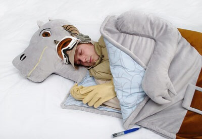 2. Tauntaun Sleeping Bag