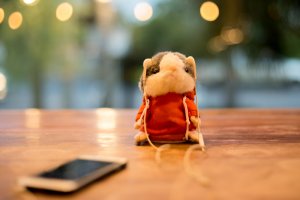 Header Talking Hamster Toys