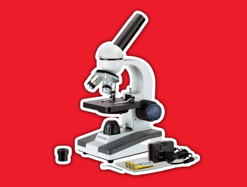 18 AmScope Student Biological Microscope
