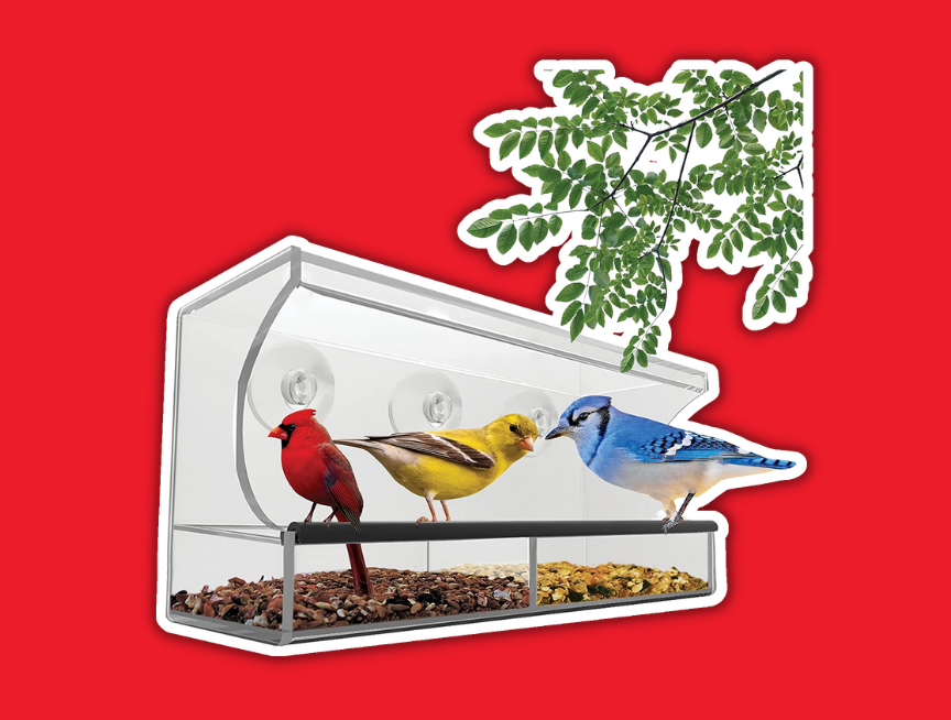 25 Clear Window Bird Feeders with Strong Suction Cups