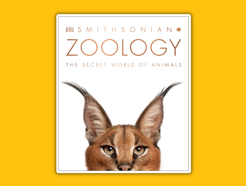 43 Zoology Inside the Secret World of Animals