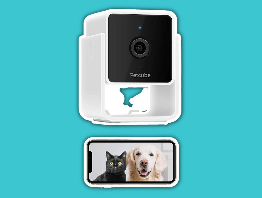 45 Petcube